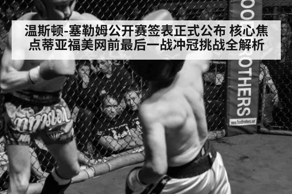温斯顿-塞勒姆公开赛签表正式公布 核心焦点蒂亚福美网前最后一战冲冠挑战全解析（jiuyou game）